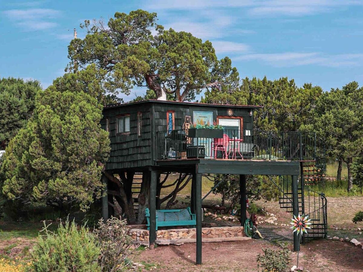 Ashley'S Treehouse At El Mistico Ranch Villa Nogal Eksteriør bilde